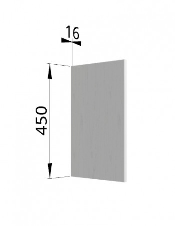 Панель торцевая (для шкафа горизонтального высокого) ВПГ Ройс (Графит софт) в Ленске - lensk.mebel54.com | фото